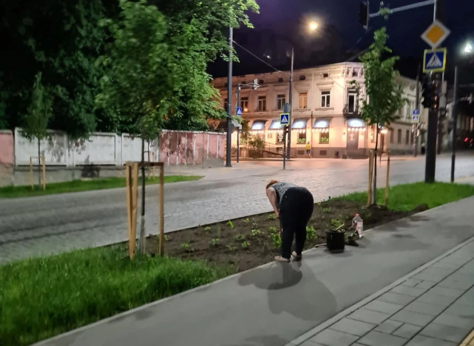 клумба у львові